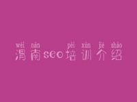 渭南seo培训介绍_关于seo的教程