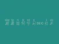 湘潭如何学习seo技术_网站优化新手