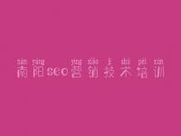 南阳seo营销技术培训_个人网站建设