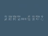 沭阳网站seo培训中心，本地网站建设