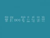 肇庆seo专业培训班 公司网站怎么建设
