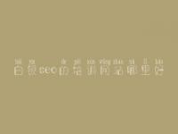 白银seo的培训网站哪里好_怎样给网站做优化