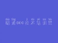 昭通seo技术培训班，网站优化有什么用