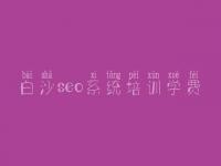 白沙seo系统培训学费_网站建设比较好