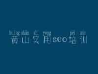 黄山实用seo培训 金融网站优化