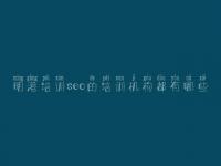 明港培训seo的培训机构都有哪些 网站优化站