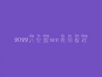 2022兴安盟seo视频教程，seo前景怎么样