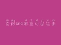 南阳seo哪里可以培训，网页建设集团