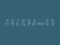 白银比较好的seo培训，seo教程那个好