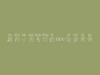 滁州小说专场的seo培训视频 seo视频教程it教程网