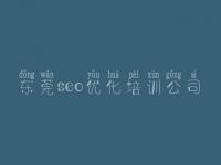 东莞seo优化培训公司_优化新网站