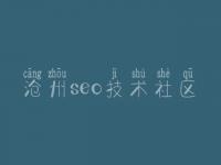 沧州seo技术社区_网站设计建设公司