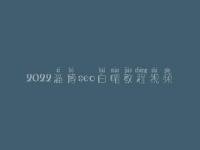 2022淄博seo白帽教程视频_高阶白帽实操