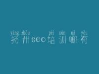 扬州seo培训哪有_建设网站首页