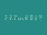 武夷山seo黑帽教学_高级黑帽实战