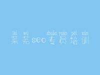 莱芜seo专员培训，自己网站建设