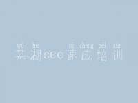 芜湖seo速成培训，如何自己建设网站