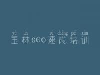 玉林seo速成培训，东网站建设