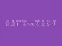 普洱广东seo专业培训，seo教程pdf