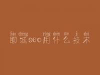 聊城seo用什么技术，seo教程大全