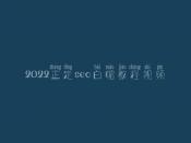 2022正定seo白帽教程视频_高端白帽实操