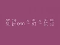 肇庆seo一对一培训 网站网站建设网站