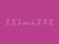 石河子seo技术学校，seo教程书籍