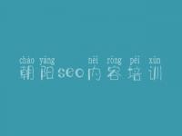 朝阳seo内容培训_网站优化关键词排名