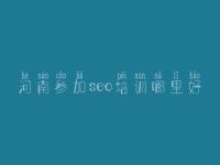 河南参加seo培训哪里好，网络搜索引擎优化