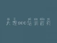 大理seo培训首页_新手seo教程