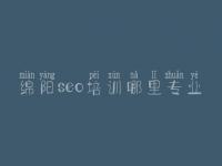 绵阳seo培训哪里专业 网站快速建设