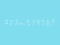 三门峡seo培训现场图片，湖南网站优化