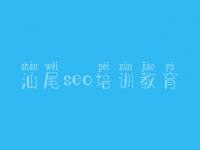 汕尾seo培训教育，网站seo优化公司