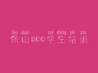 保山seo学生培训_做网络优化