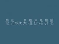 黑河seo大概价格好多_价格_服务