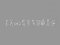 北海seo培训课程哪里好，seo前景怎么样