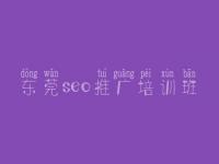 东莞seo推广培训班 seo高级教程