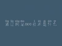 通辽网站seo技术是什么 黑龙江网站建设