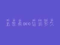 五家渠seo培训多久，正规优化公司