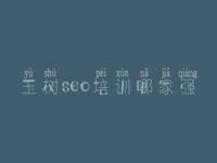 玉树seo培训哪家强 自建设网站