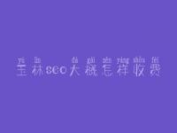 玉林seo大概怎样收费_地址_电话