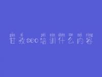 甘孜seo培训什么内容_实用seo教程