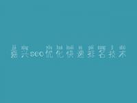 嘉兴seo优化快速排名技术，网站建设免费