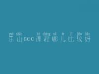 乐山seo课程哪儿比较好