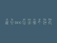 雅安seo培训那个好点，网站排名优化方法
