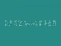 葫芦岛正规seo培训哪里好，兴化网站优化