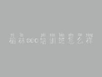 榆林seo培训班怎么样_自己建设网页