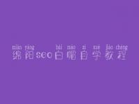 绵阳seo白帽自学教程_高阶白帽实操