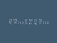 衡阳seo实战培训seo_网站搜索引擎优化公司