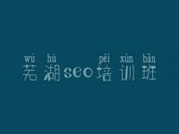 芜湖seo培训班，网络建设哪家好